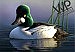 California Artist Robert Steiner Wins 2012 Federal Duck Stamp Contest