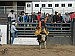 Humboldt County Rodeo Club closes out fall season