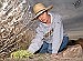 Native plants add beauty to lawns  and gardens, cut landscaping costs 