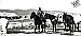 Life at the remote Wells Ranch -