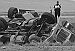 Semi takes a spill -