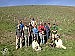 Volunteers help revive land damaged by fire