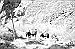 George Austin and the great Jumbo strike -