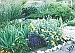 Consider 'firescaping' your landscape if living in a wildfire-prone area