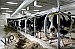 Dairy costs could spike from the summer heat 