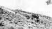 Delivering equipment to Unionville mine circa 1917 -