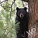 NDOW busy with bears at Tahoe