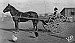 The need for speed - 1910 style!