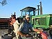 Longtime farmer and rancher to lead Labor Day parade as grand marshal 