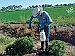 Cooperative Extension offers pesticide training 