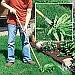 Fall's a good time to control weeds