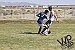 Lowry junior varsity boys soccer team loses to South Tahoe