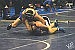 Billingsley, Cardenas finish fourth at Reno Tournament of Champions 