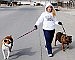Strolling with the pooches - 