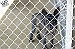 World Spay Day: save lives and reduce overpopulation