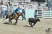 Humboldt County Rodeo Club competes at Fallon rodeo