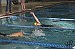 Lowry swimmers complete perfect weekend in Incline, Minden