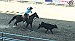 Montero sweeps goat tying at Fallon rodeo