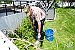 Pruning a paradise -