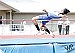 Lady Bulldogs -