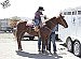 Present day Pony Express -