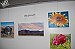 Teddy Swecker & students' art show