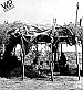 A shade house 