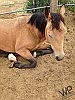 Sleeping beauty -
