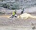 Wild rides -