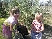 Dog days of summer -