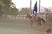 Queens of the rodeo -