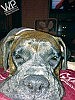 Puppy love -