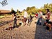 Winnemucca Community Garden: Walk and Wag