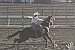 Humboldt County Rodeo Club has stand-out performances at Elko