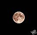 Total eclipse of the moon -