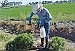 University of Nevada Cooperative  Extension offers training for use of pesticides 