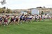 LHS cross country team competes at Northeastern JV Championships