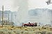 Potato plant pyre -