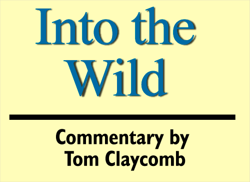 Hunting small game with airguns