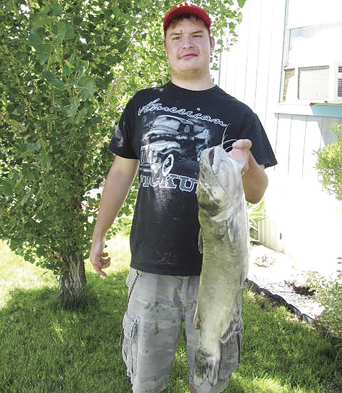 Monster catfish hauled from Willow Creek Reservoir 