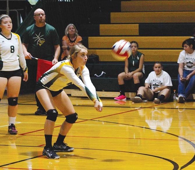 Lady Longhorns drop thriller to Wells