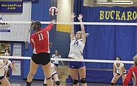 Lady Bucks fall to Wolverines in regional tourney rematch