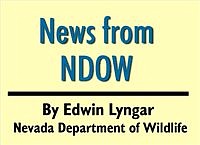Solving wildlife crime requires the help of sportsmen 