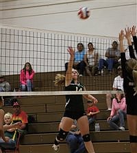 Lady Longhorns volleyball defeats PCHS