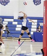 Lady Bulldogs drop matches to Vandals