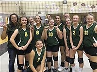 Shorthorns volleyball team finishes second