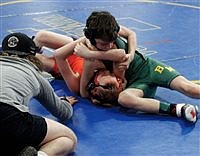 Shorthorns position themselves for championships