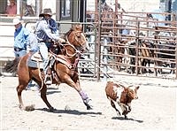 Silver State International Rodeo rolls into Winnemucca for annual stop