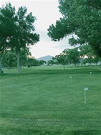 Rotary Club of Winnemucca holds annual golf tournament