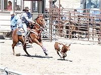 Silver State International Rodeo closes out another year